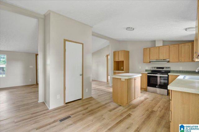 351 MCGINNIS STREET, Springville, AL 35146