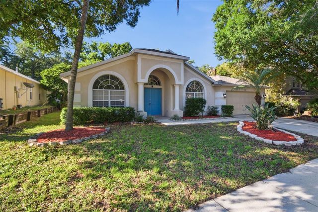 703 GRAND CANYON DRIVE, Valrico, FL 33594