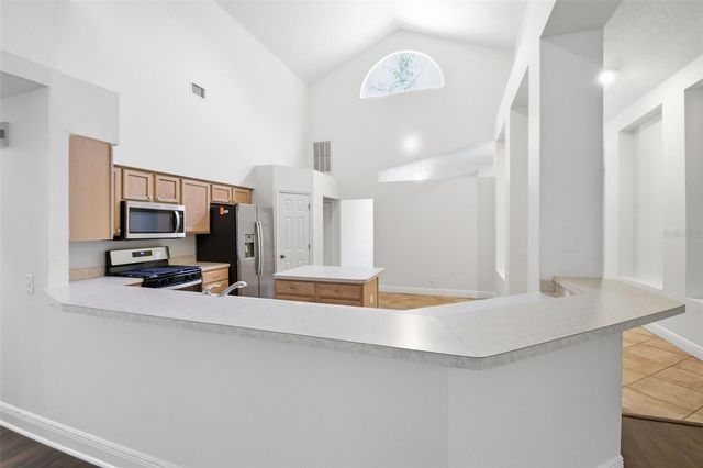 703 GRAND CANYON DRIVE, Valrico, FL 33594