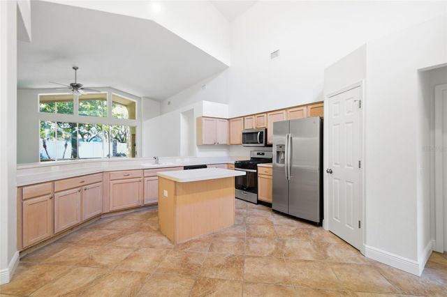 703 GRAND CANYON DRIVE, Valrico, FL 33594