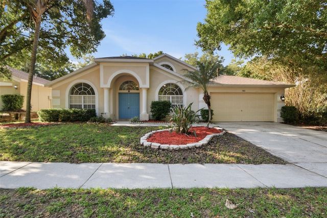 703 GRAND CANYON DRIVE, Valrico, FL 33594