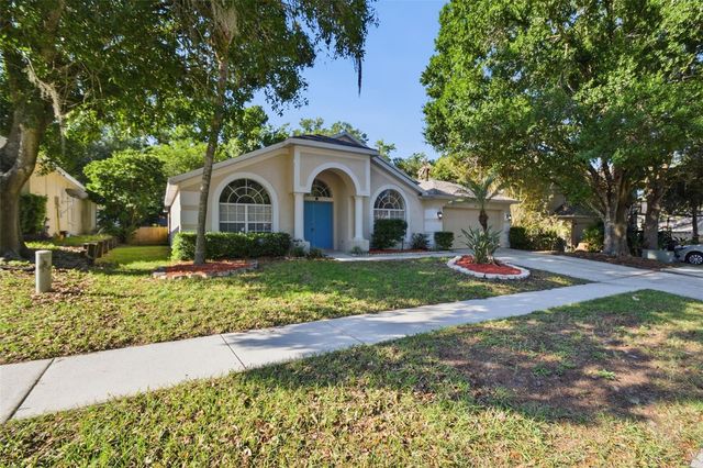 703 GRAND CANYON DRIVE, Valrico, FL 33594