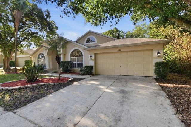703 GRAND CANYON DRIVE, Valrico, FL 33594