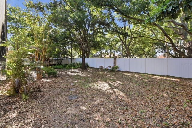 703 GRAND CANYON DRIVE, Valrico, FL 33594