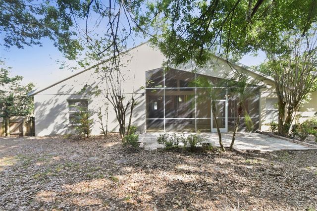 703 GRAND CANYON DRIVE, Valrico, FL 33594