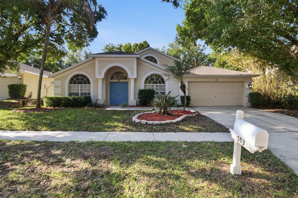 703 GRAND CANYON DRIVE, Valrico, FL 33594