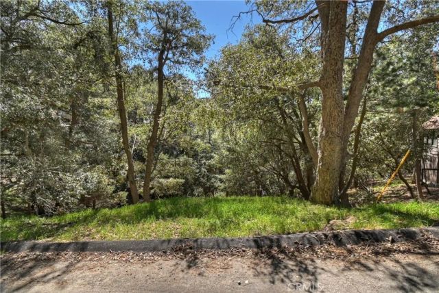 23491 Short Way, Crestline, CA 92325