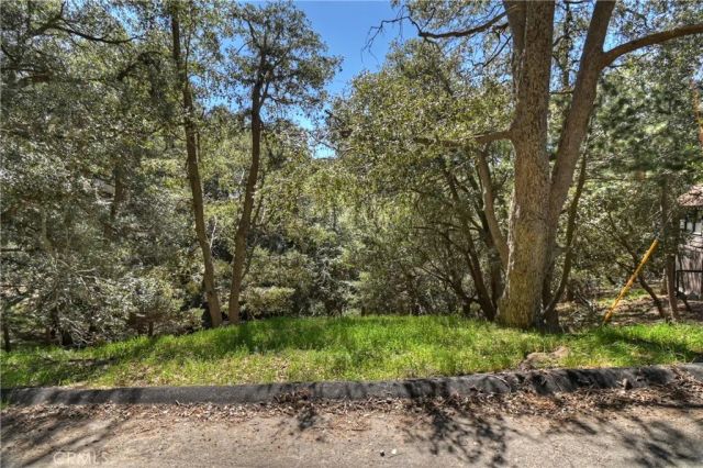 23491 Short Way, Crestline, CA 92325