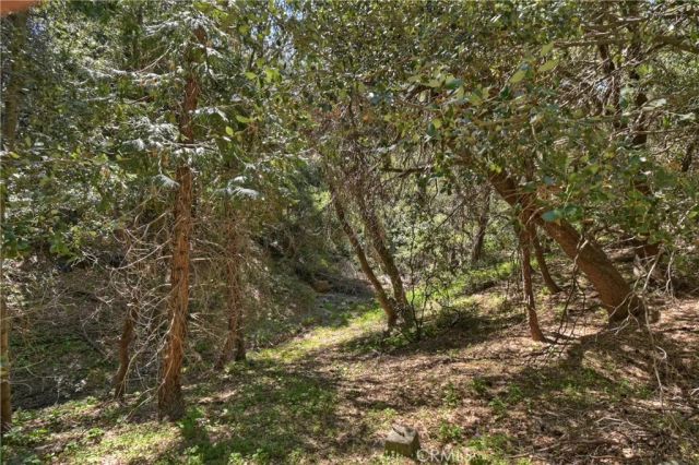 23491 Short Way, Crestline, CA 92325