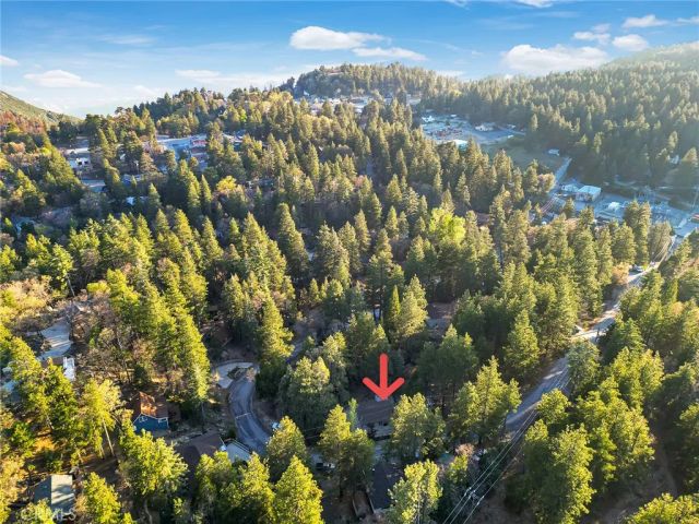 32159 Cove Circle, Running Springs, CA 92382