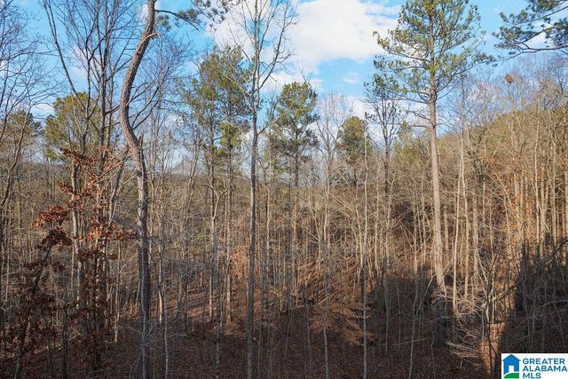 2021 GREY OAKS TERRACE, Pelham, AL 35124