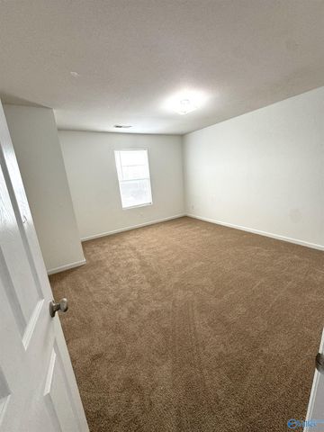 109 Point Given Lane, Harvest, AL 35749