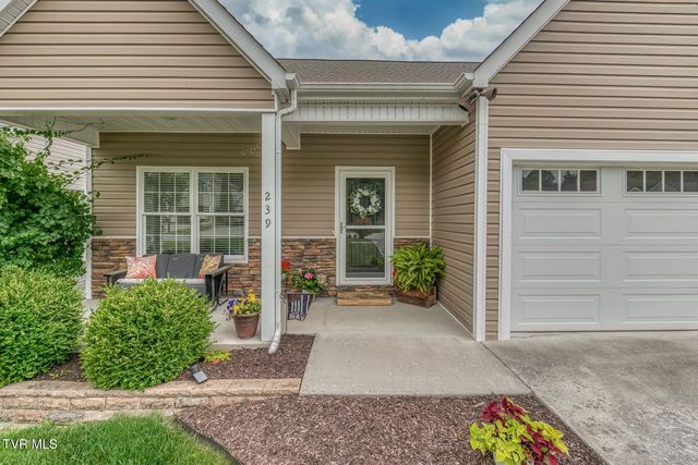 239 Bradford Lane, Bristol, TN 37620