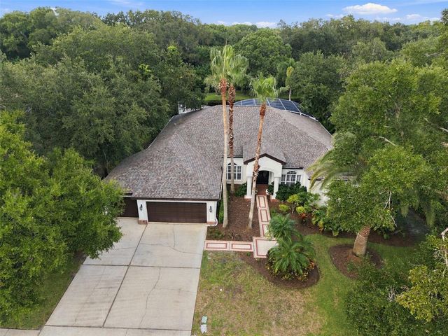 3921 ARLINGTON DRIVE, Palm Harbor, FL 34685