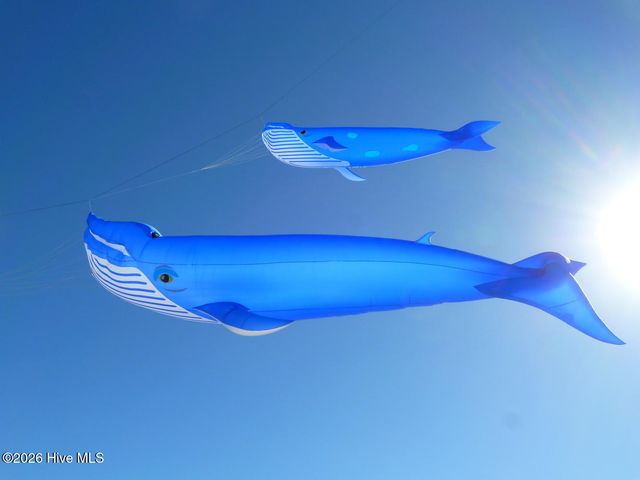 510 Canal Drive, Carolina Beach, NC 28428