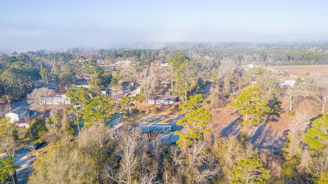 141 Bluebird Drive, Onalaska, TX 77360