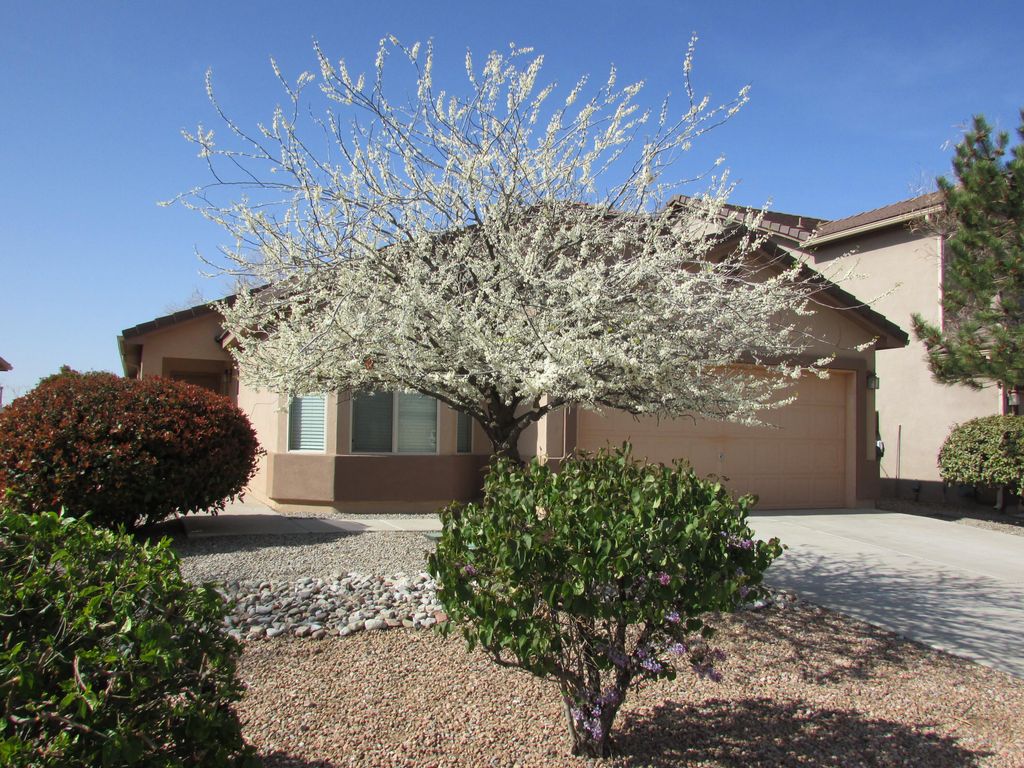 2843 VIOLETA Circle SE, Rio Rancho, NM 87124