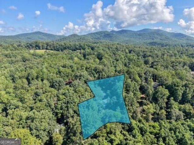 300 Chapman Lane, Blairsville, GA 30512