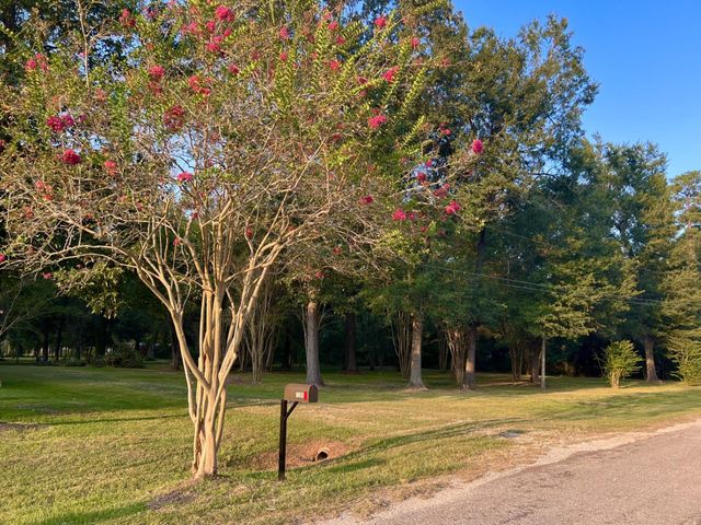 1265 County Road 6479, Dayton, TX 77535