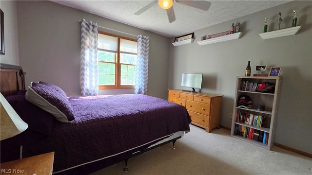 19694 Summer Place Drive, Strongsville, OH 44136