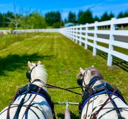 4711 176th Avenue SW, Rochester, WA 98579