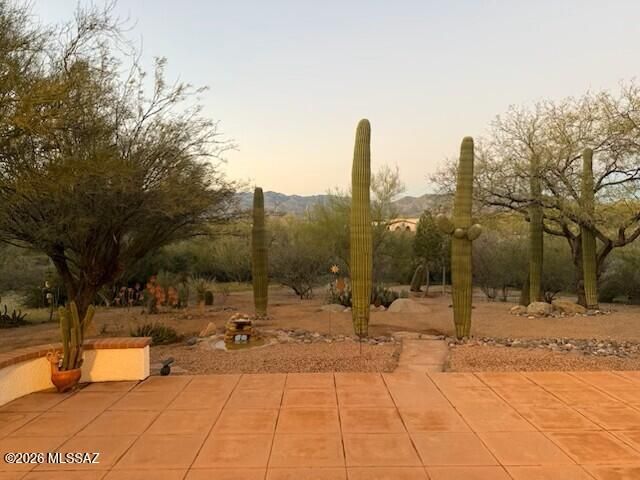 12241 E 8th Street, Tucson, AZ 85748