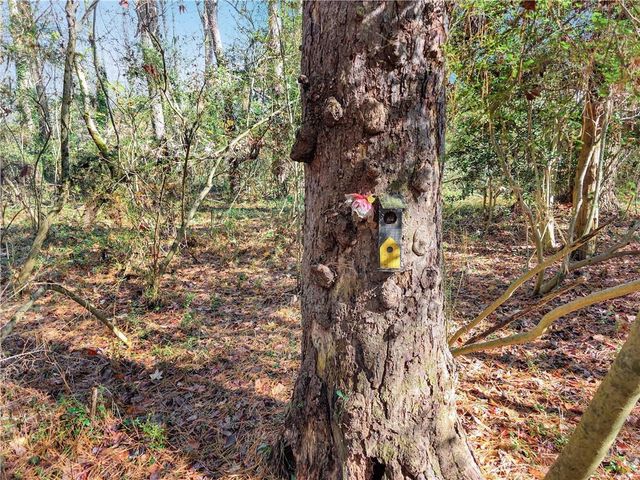 1785 Meadowdale NE Avenue, Atlanta, GA 30306