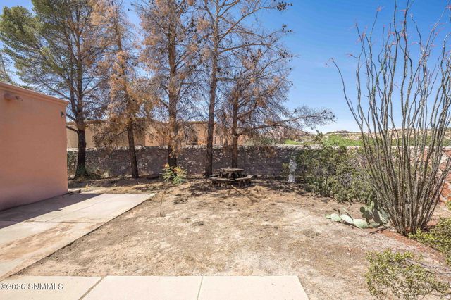 6600 Vista De Oro, Las Cruces, NM 88007