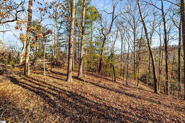 Lot S-23 N Cliffs Falls Parkway, Salem, SC 29676