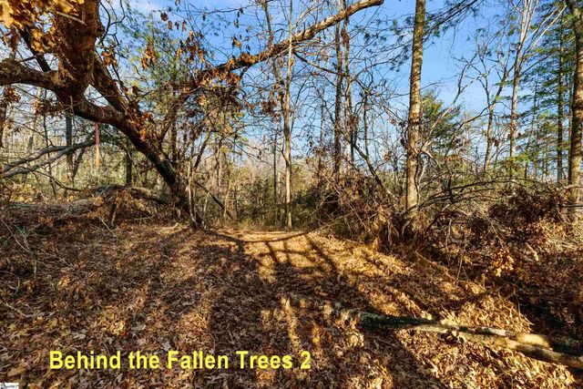 Lot S-23 N Cliffs Falls Parkway, Salem, SC 29676