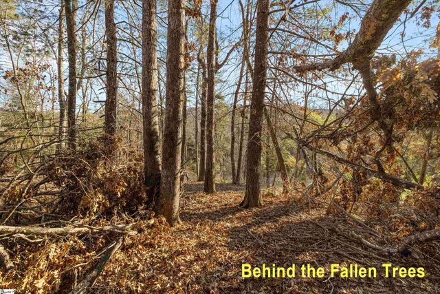 Lot S-23 N Cliffs Falls Parkway, Salem, SC 29676