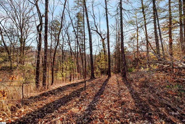 Lot S-23 N Cliffs Falls Parkway, Salem, SC 29676