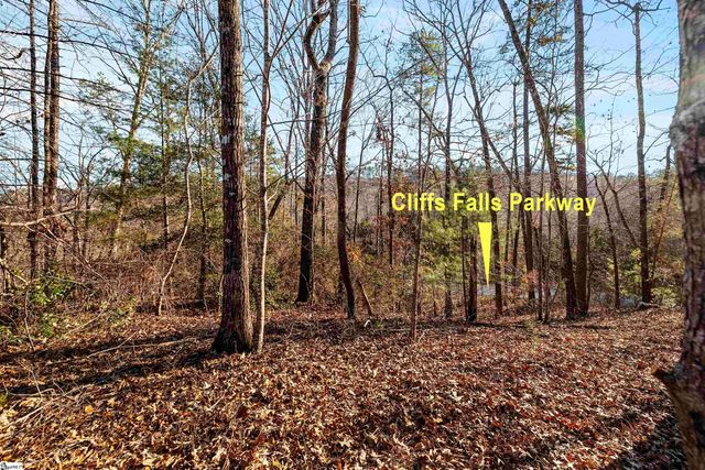 Lot S-23 N Cliffs Falls Parkway, Salem, SC 29676