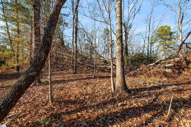 Lot S-23 N Cliffs Falls Parkway, Salem, SC 29676