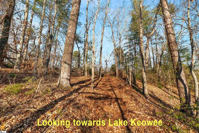 Lot S-23 N Cliffs Falls Parkway, Salem, SC 29676