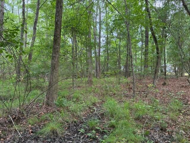 0 Joyous Way, Moncks Corner, SC 29461