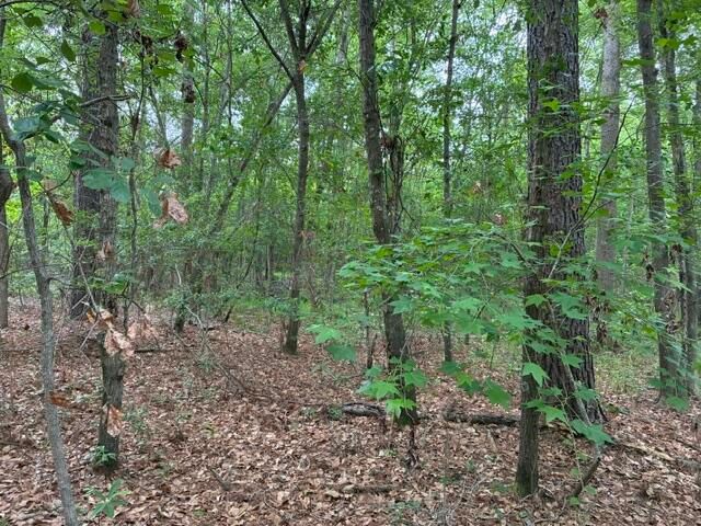 0 Joyous Way, Moncks Corner, SC 29461