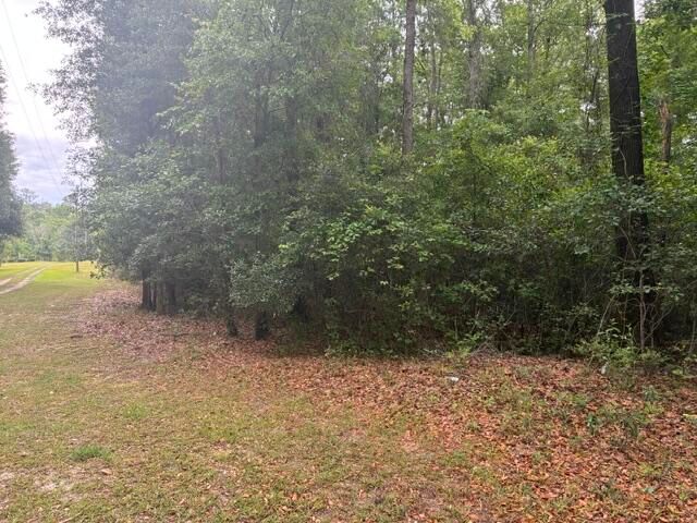 0 Joyous Way, Moncks Corner, SC 29461