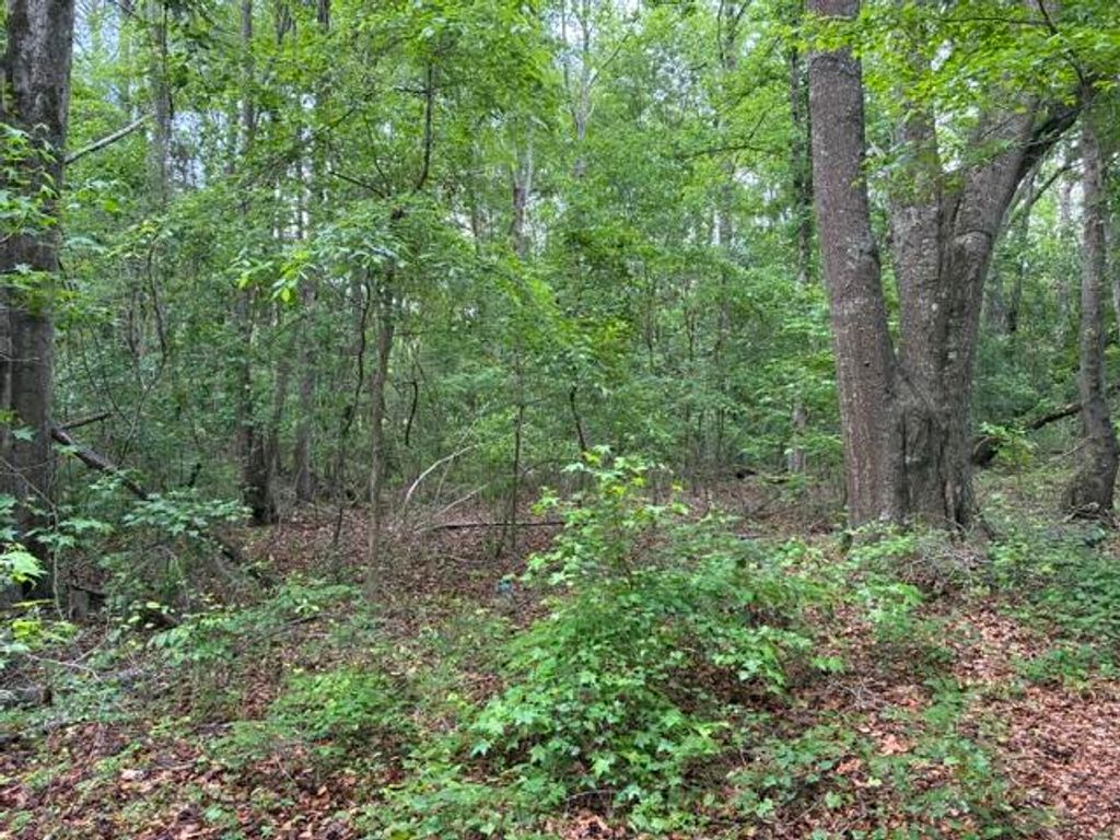 0 Joyous Way, Moncks Corner, SC 29461