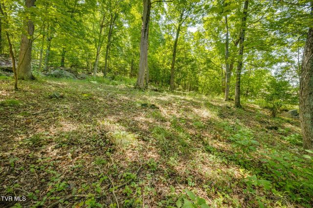 1101 Aberdeen Trail, Kingsport, TN 37664