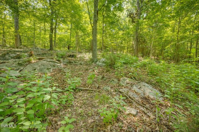 1101 Aberdeen Trail, Kingsport, TN 37664