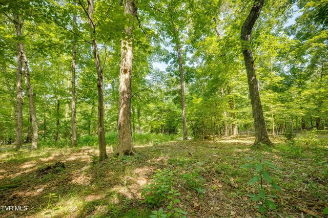 1101 Aberdeen Trail, Kingsport, TN 37664