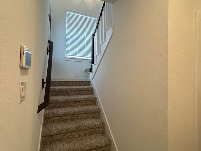 7802 Starfish Arbor Drive, Cypress, TX 77433