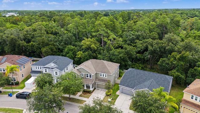 6944 ROCKY CANYON WAY, Tampa, FL 33625