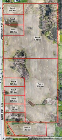 Lot 4 Lapeer Road, Metamora, MI 48371