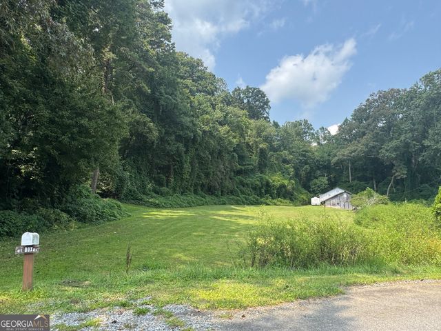 81 Doxol Street, Blue Ridge, GA 30513