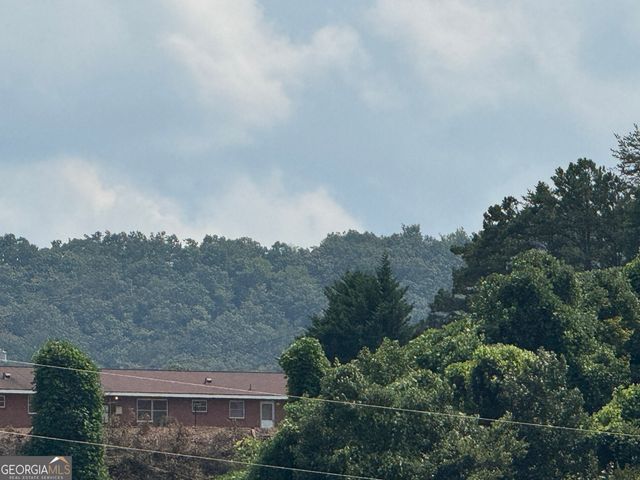 81 Doxol Street, Blue Ridge, GA 30513