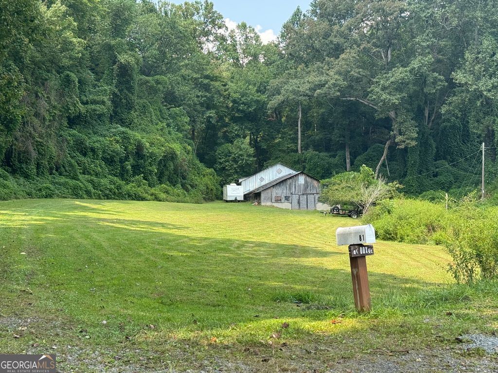 81 Doxol Street, Blue Ridge, GA 30513