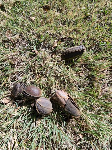 101 S 7th Street, Madill, OK 73446