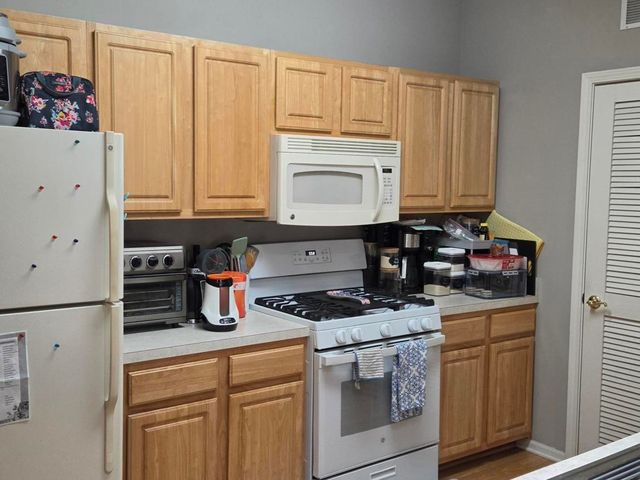 1259 W Lake Street 206, Addison, IL 60101